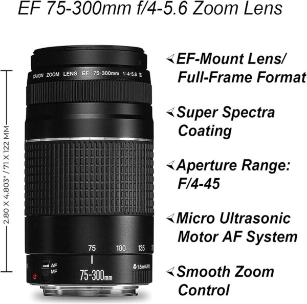 Canon EOS 2000D / Rebel T7 DSLR Camera with EF-S 18-55mm + EF 75-300mm Daul Lens + SanDisk 64GB Memory Card + Tripod + Case + Wideangle Lenses + ZeeTech Accessory Bundle (21pc Bundle) (Renewed) - Image 4