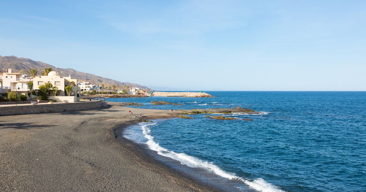 Blue Dragon plague sees tourists banned from three more Costa Blanca beaches