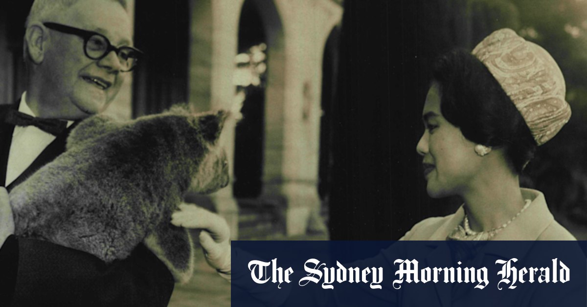 Beauty who dazzled the world