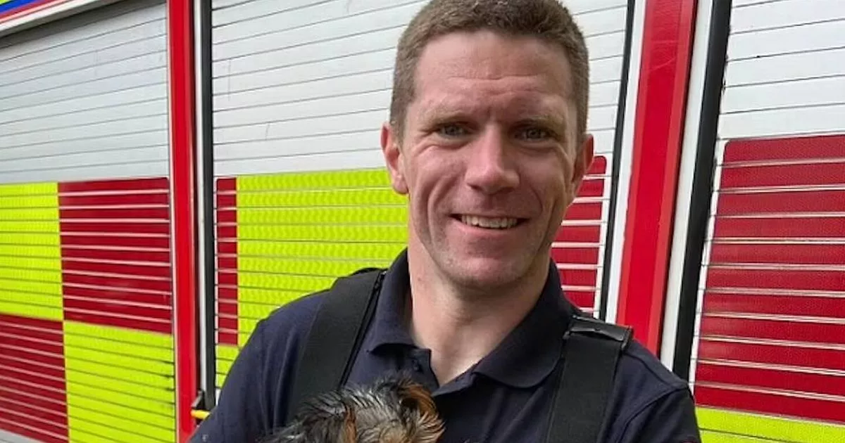 Firefighter found guilty of raping woman during St Patrick’s Day celebrations