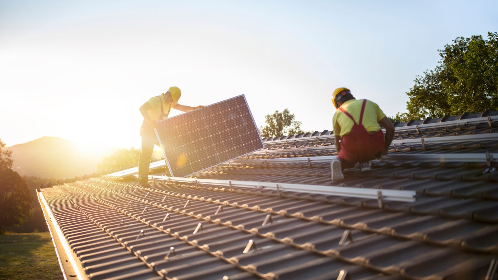 Renewable energy produces more electricity than coal for the first time, experts say | Science, Climate & Tech News