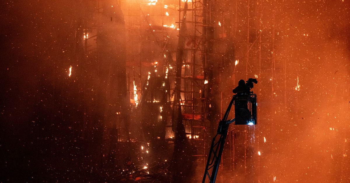 Hong Kong fire: Hundreds of pets feared trapped in horror blaze