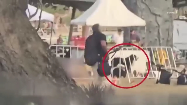 Heartbreaking moment loyal dog stands over owner’s dead body after Bondi terror attack